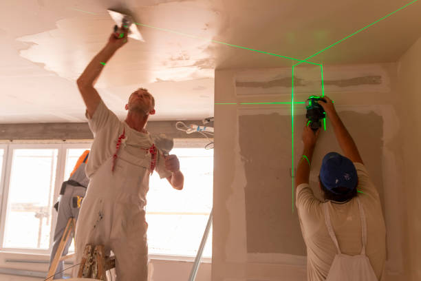 Best Drywall Removal and Disposal  in Danielson, CT